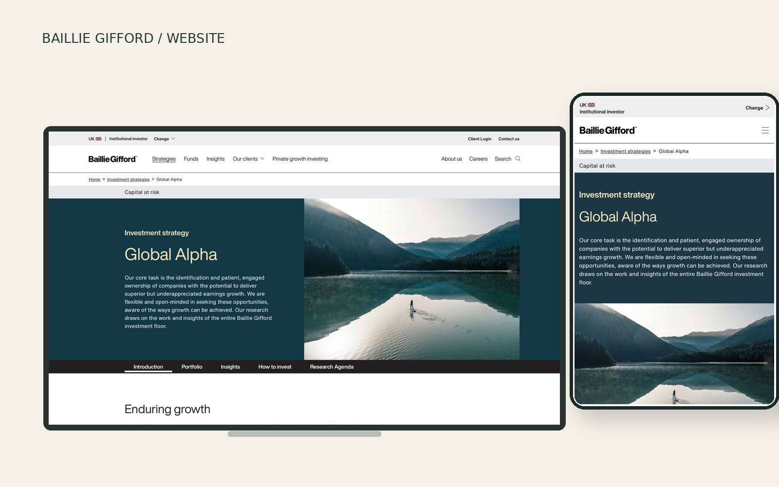 Website Hero project composition